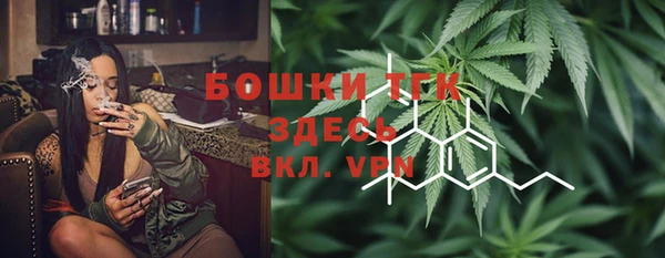 гашик Богородицк