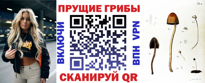 Галлюциногенные грибы Magic Shrooms  где найти наркотики  Дегтярск 
